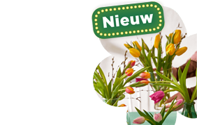 Bloemen en planten, nieuw bij PLUS.