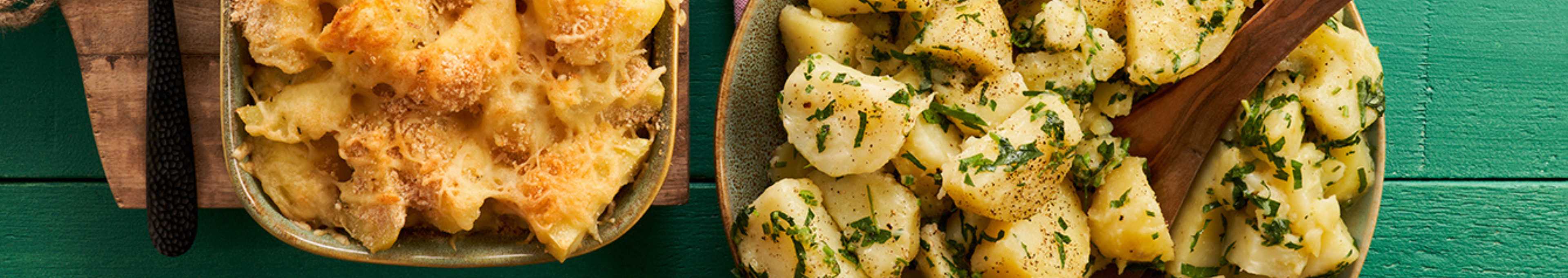 Meal preppen topbanner