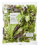 PLUS Sla jonge bladsla en rucolamelange