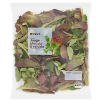 PLUS Luxe sla jonge bladsla veldsla