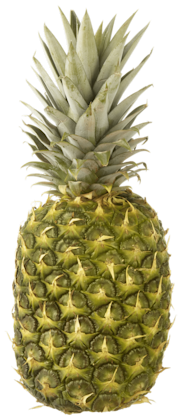 Ananas