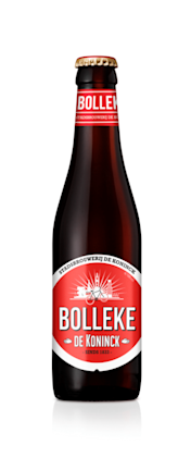 Bolleke