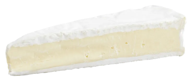 PLUS Roombrie 60+