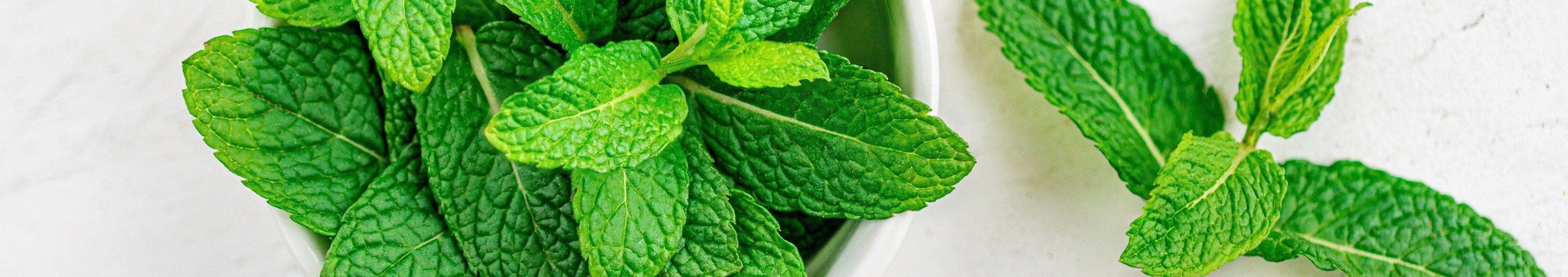 Munt recepten topbanner