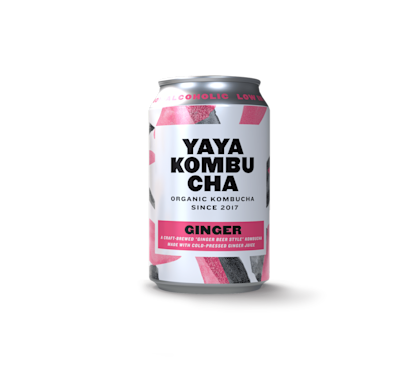 Kombucha ginger