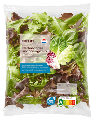 Nederlandse knapperige slamelange