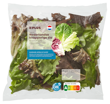 Nederlandse knapperige slamelange