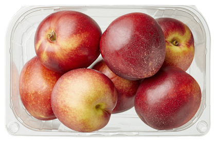 Nectarine - PLUS