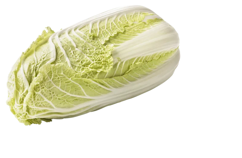 PLUS Chinese kool