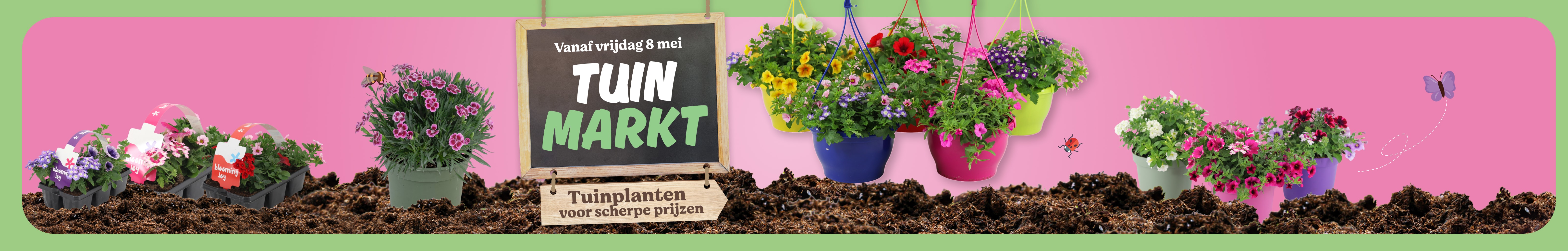 Tuinmarkt bloemen en planten 