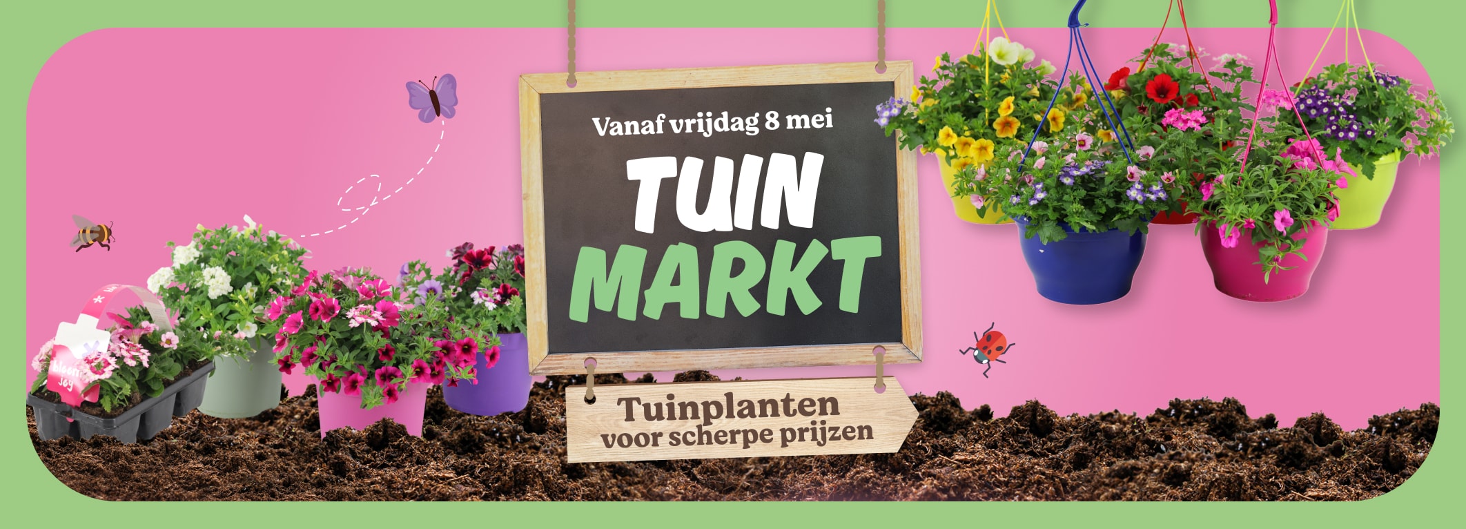 Tuinmarkt bloemen en planten 