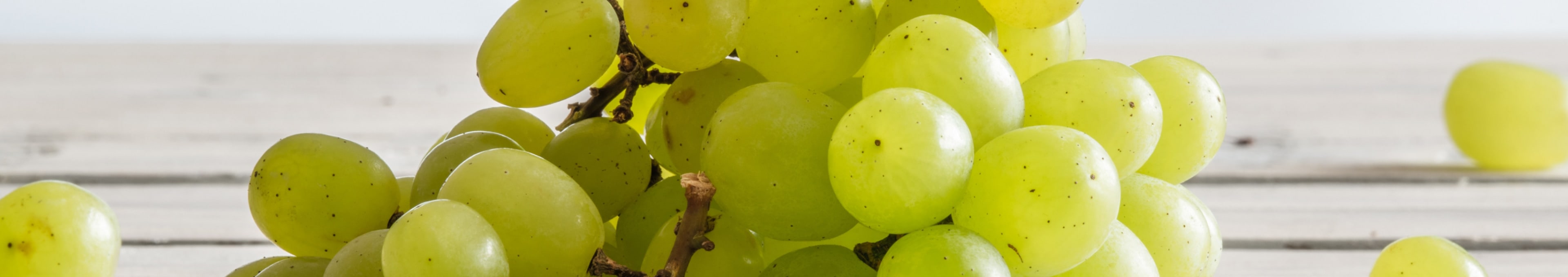 Druiven recepten topbanner