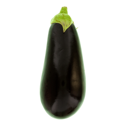 Aubergine