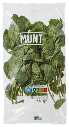 Munt