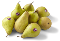 PLUS Handperen Xenia