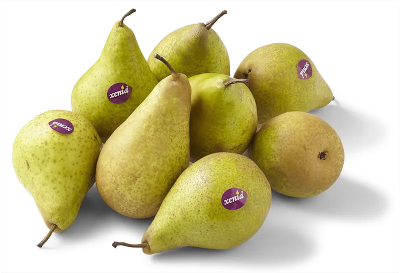 PLUS Handperen Xenia