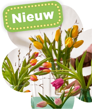 Bloemen en planten, nieuw bij PLUS.