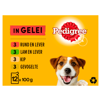 Adult Vlees in Gelei Hondenvoer