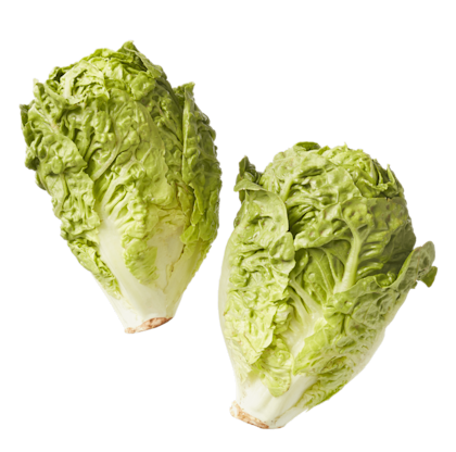 Little gem sla biologisch