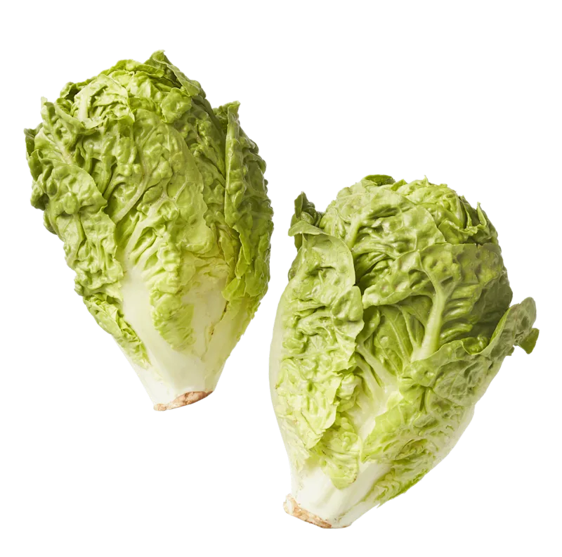 Biologisch PLUS Little gem sla