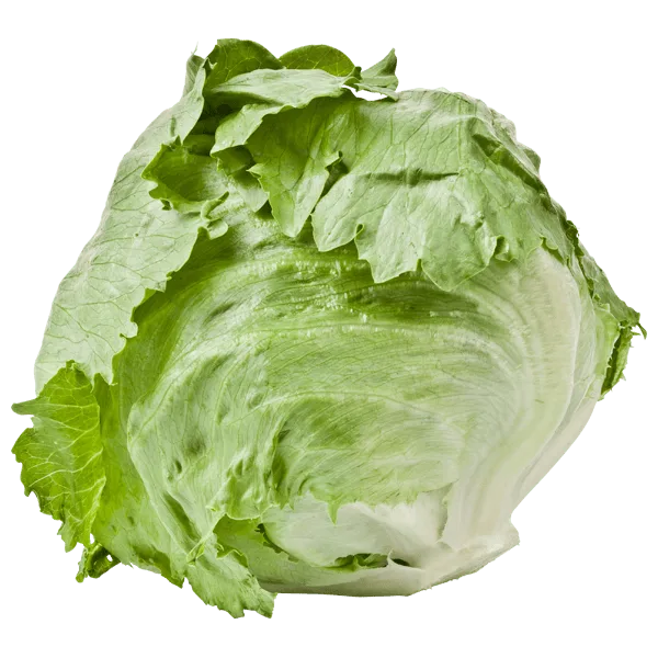 PLUS IJsbergsla krop