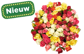 Rozen met NIEUW bol