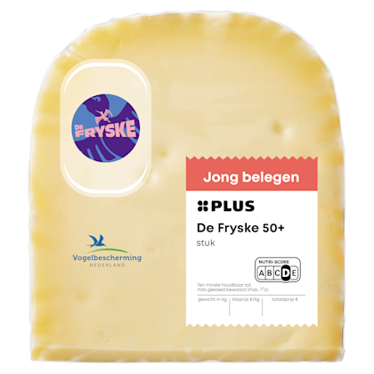 Fryske Stuk Jong Belegere