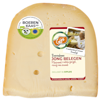 GIJS Boerenkaas Jong belegen 48+ stuk
