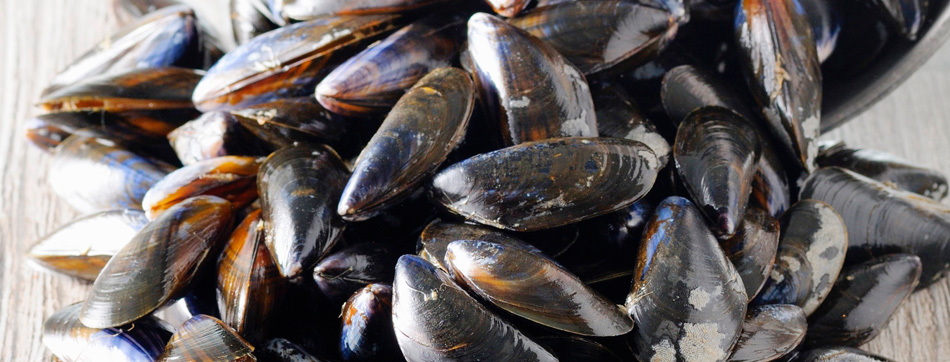 Mosselen