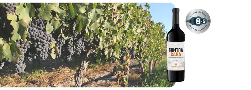 Callia Contra Cara Malbec