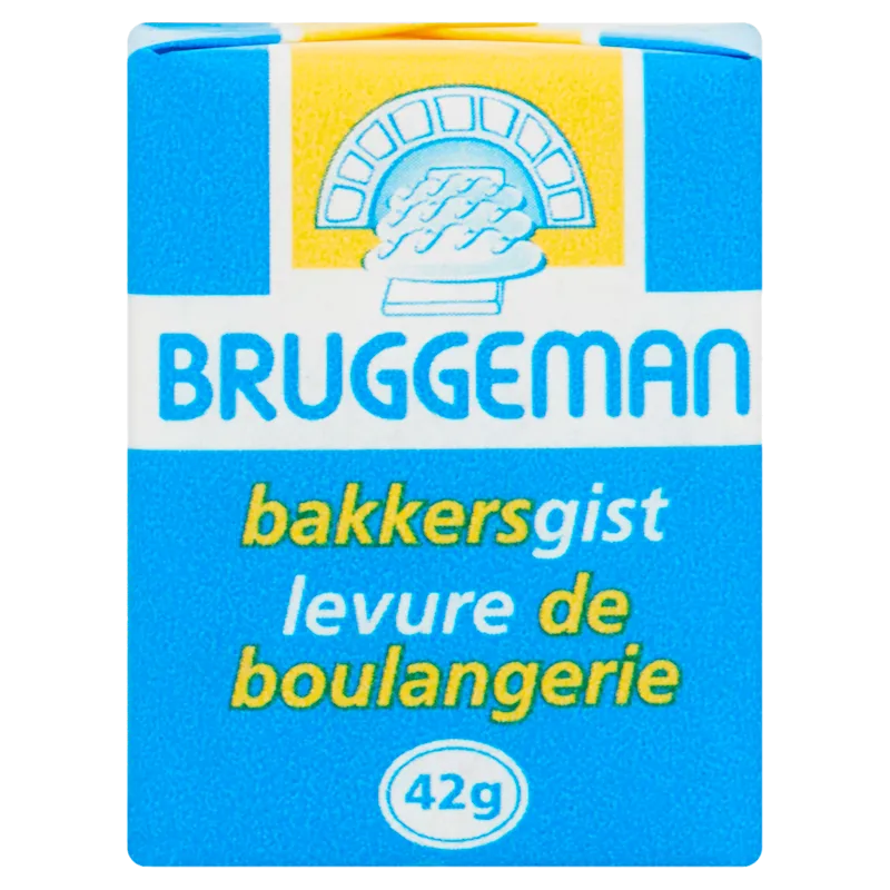 Bruggeman Verse bakkersgist mini