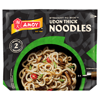 Udon thick noodles