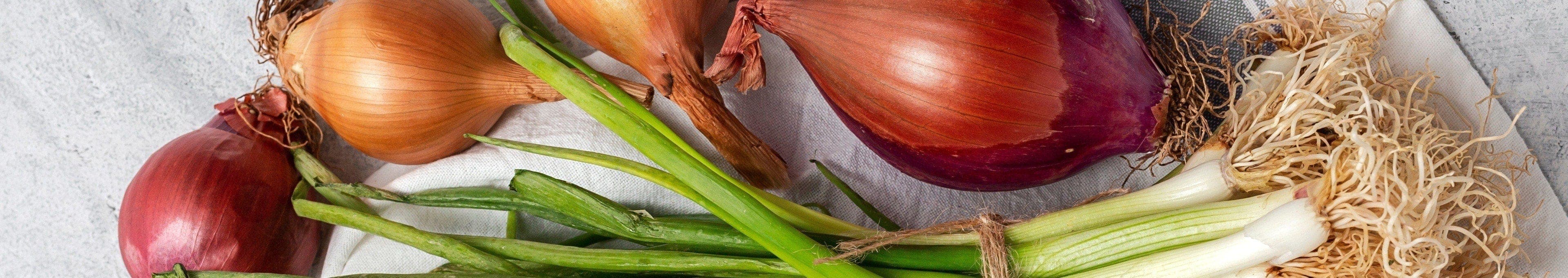 Ui recepten topbanner