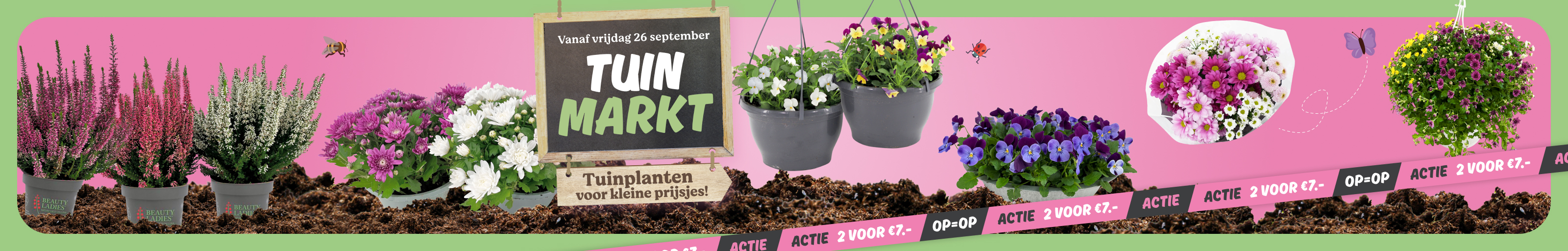 Tuinmarkt plantjes van PLUS.