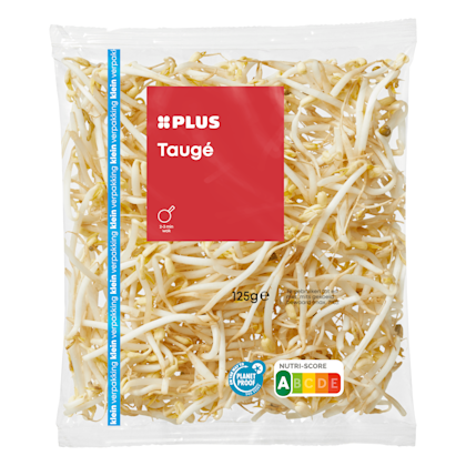 Tauge kvp - PLUS