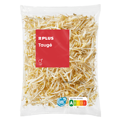 Tauge - PLUS
