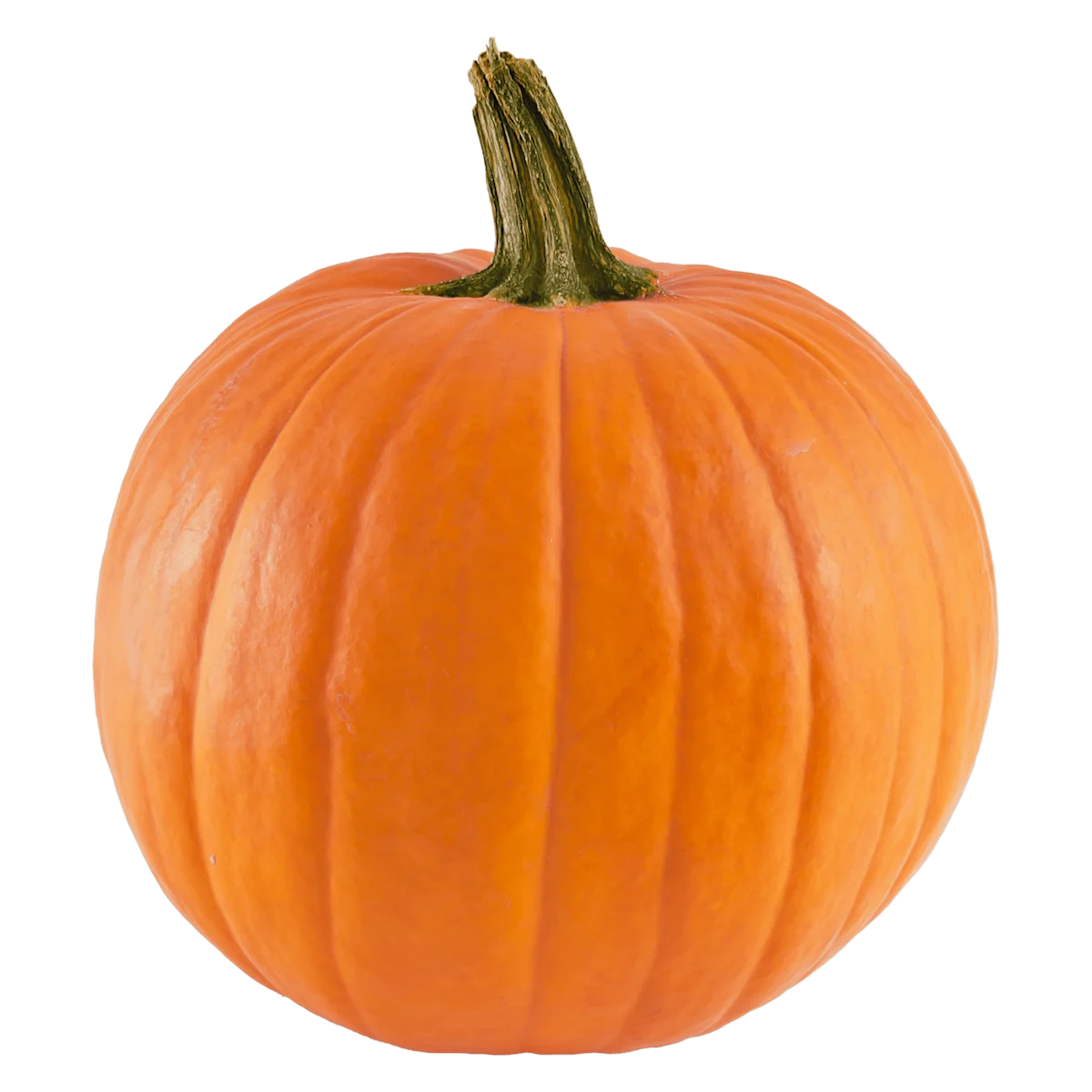 PLUS Halloweenpompoen