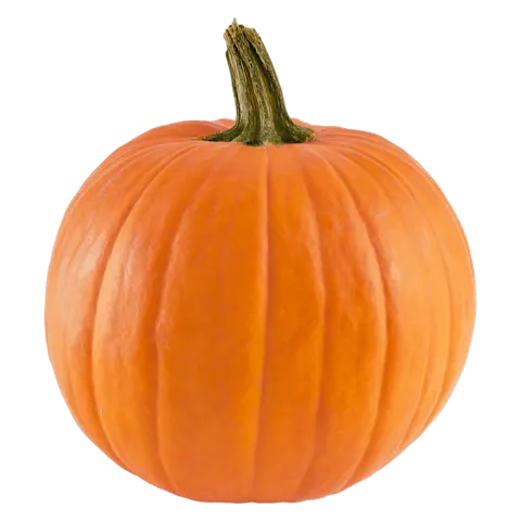 Halloweenpompoen