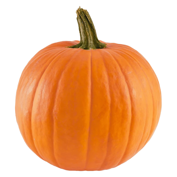 PLUS Halloweenpompoen