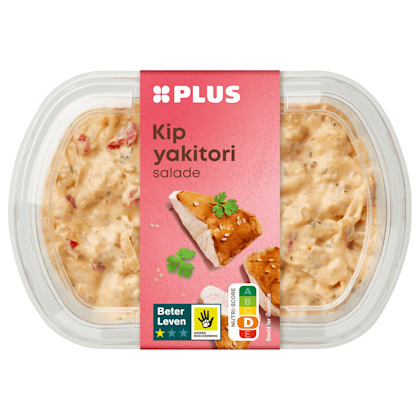 Kip Yakitori salade