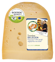 GIJS Boerenkaas belegen 48+ stuk