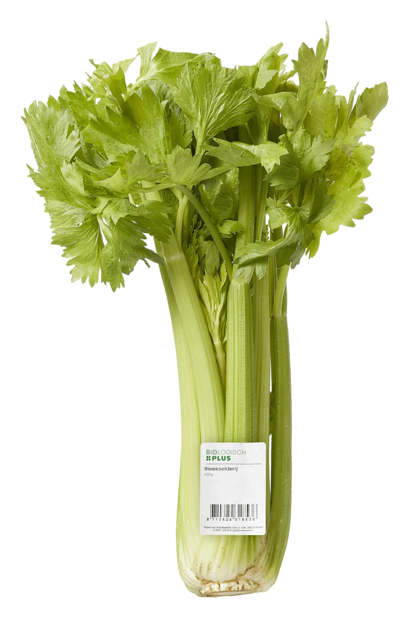 Biologisch PLUS Bleekselderij