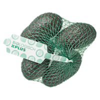 PLUS Avocado biologisch