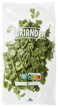 Koriander