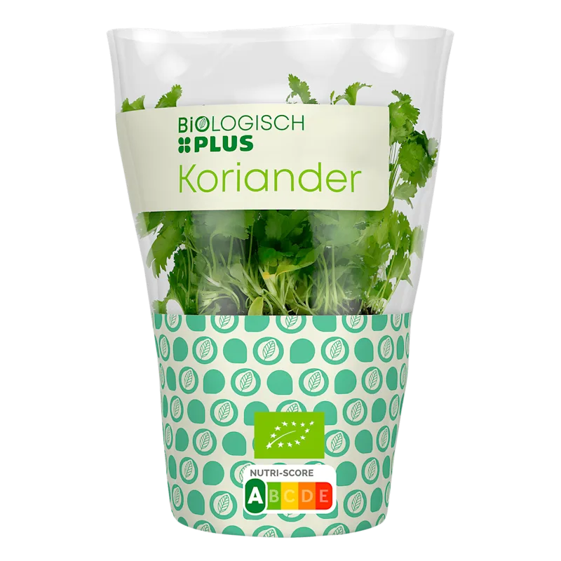 Biologisch PLUS Koriander