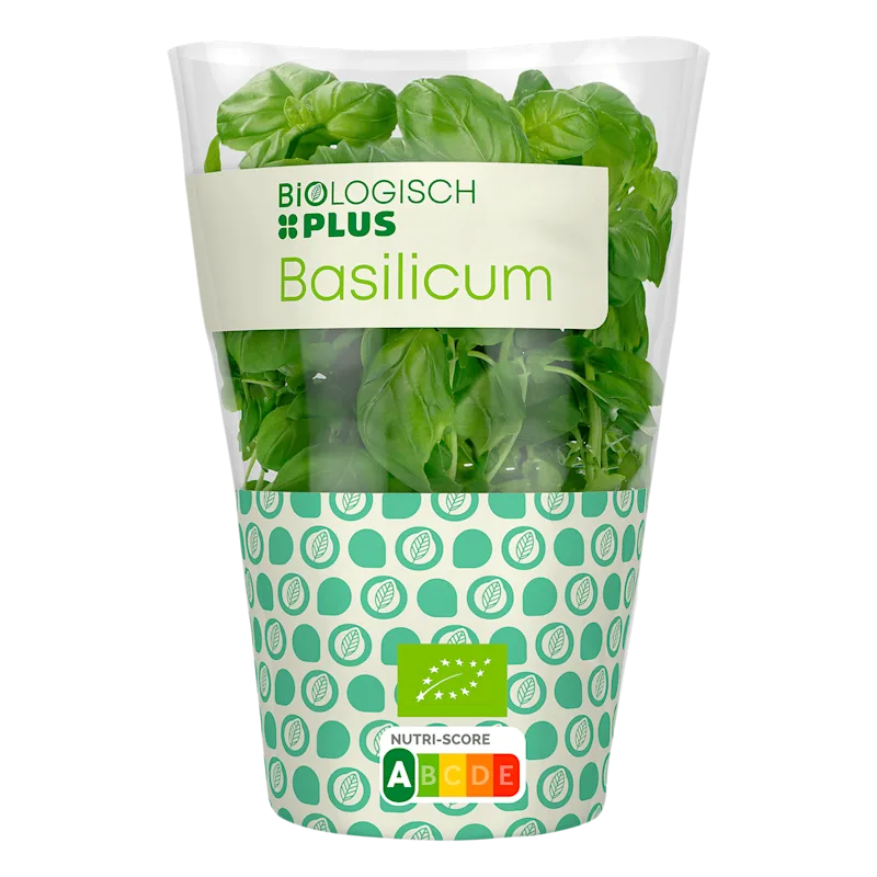 Biologisch PLUS Basilicum