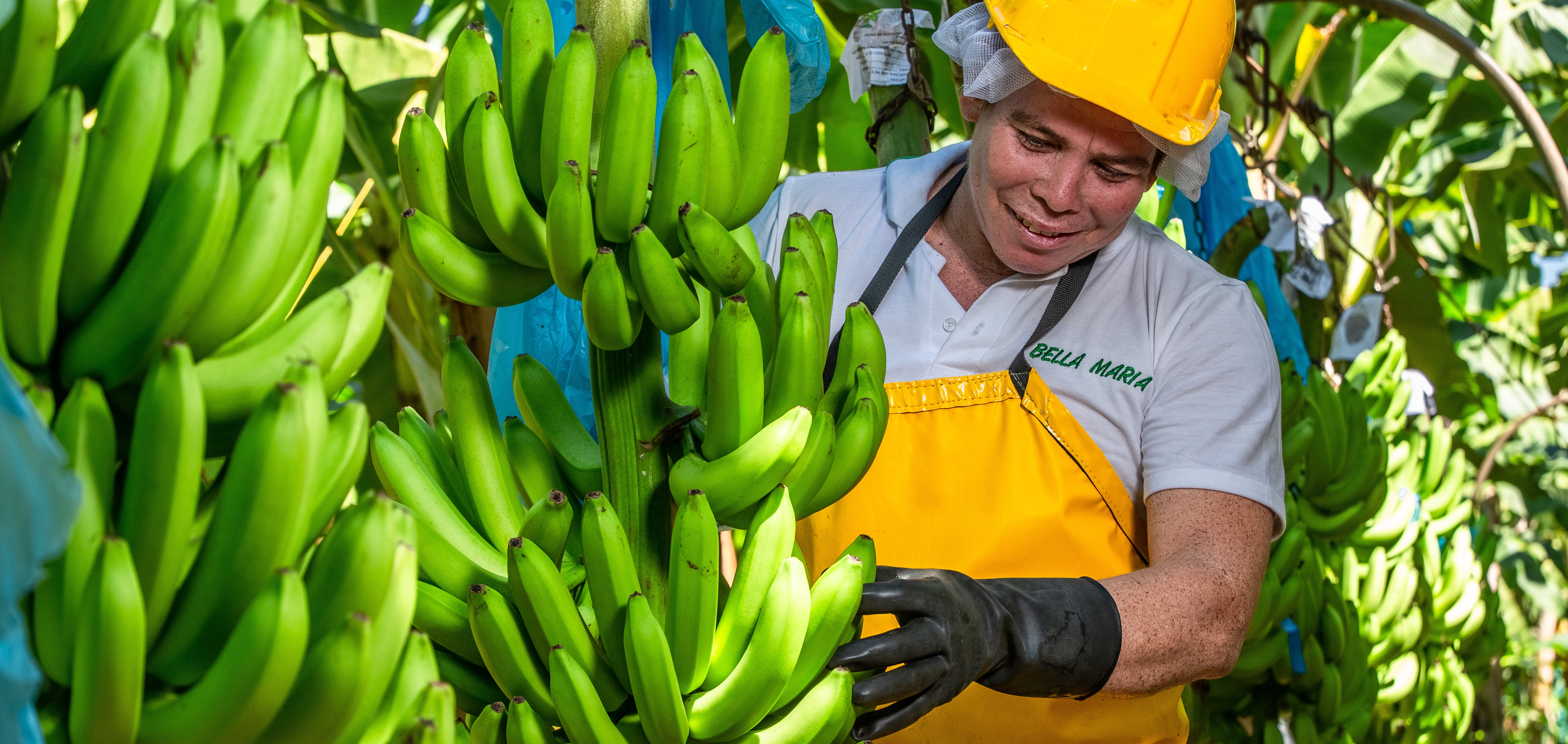 Fairtrade bananen arbeider