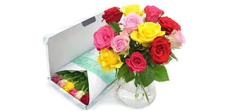 PLUS verkoopt vanaf vandaag ook bloemen online