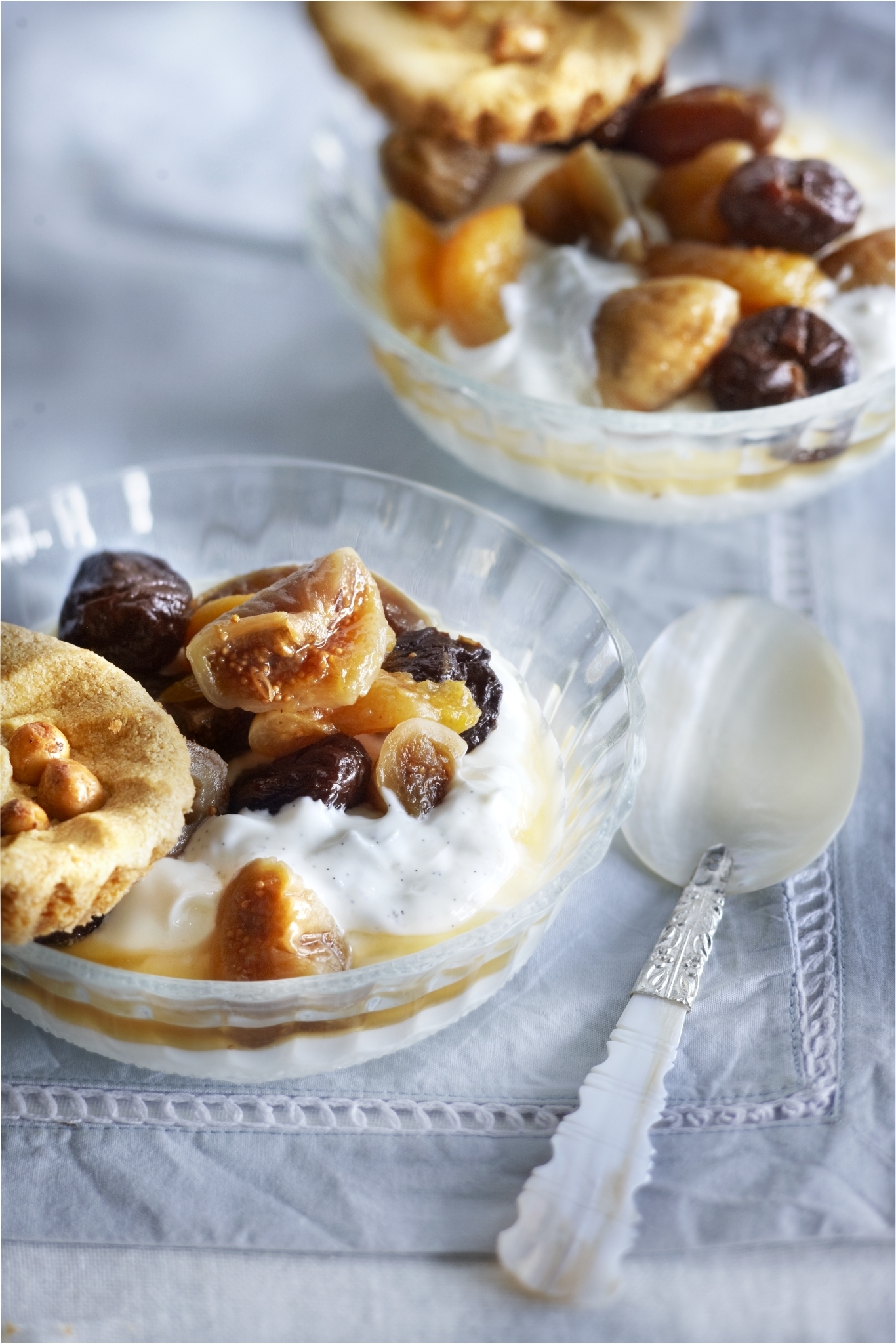 Yoghurthangop met vanille en gedroogd fruit