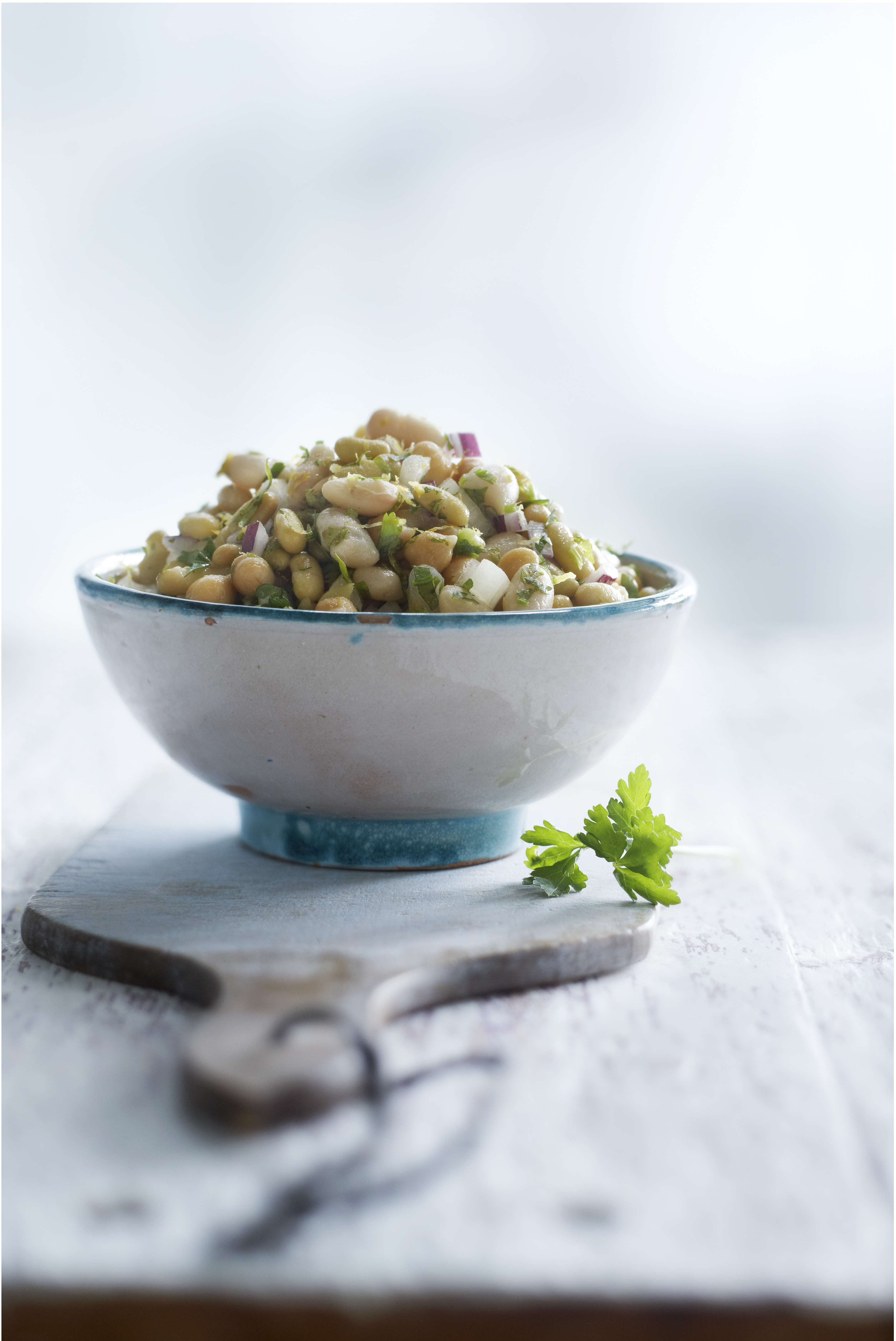 Kikkererwtenbonenslade met groene kruiden